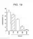 Fig. 30 - T. CRUZI-DERIVED NEUROTROPHIC AGENTS AND METHODS OF USE THEREFOR