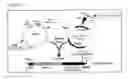 Fig. 15 - Long lasting drug formulations