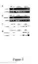 Fig. 06 - METHODS AND COMPOSITIONS FOR CELL THERAPY