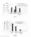 Fig. 02 - Promoters exhibiting endothelial cell specificity and methods of using same