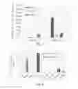 Fig. 06 - Promoters exhibiting endothelial cell specificity and methods of using same