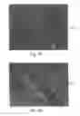 Fig. 07 - Promoters exhibiting endothelial cell specificity and methods of using same