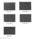 Fig. 09 - Promoters exhibiting endothelial cell specificity and methods of using same