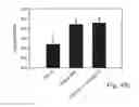Fig. 35 - Promoters exhibiting endothelial cell specificity and methods of using same