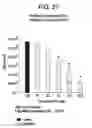 Fig. 28 - Co-enzyme Q10 formulations and methods of use