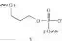 Fig. 109 - MODULATION OF IMMUNOSTIMULATORY PROPERTIES OF OLIGONUCLEOTIDE-BASED COMPOUNDS BY UTILIZING MODIFIED IMMUNOSTIMULATORY DINUCLEOTIDES