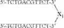 Fig. 110 - MODULATION OF IMMUNOSTIMULATORY PROPERTIES OF OLIGONUCLEOTIDE-BASED COMPOUNDS BY UTILIZING MODIFIED IMMUNOSTIMULATORY DINUCLEOTIDES
