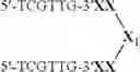 Fig. 113 - MODULATION OF IMMUNOSTIMULATORY PROPERTIES OF OLIGONUCLEOTIDE-BASED COMPOUNDS BY UTILIZING MODIFIED IMMUNOSTIMULATORY DINUCLEOTIDES
