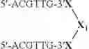 Fig. 116 - MODULATION OF IMMUNOSTIMULATORY PROPERTIES OF OLIGONUCLEOTIDE-BASED COMPOUNDS BY UTILIZING MODIFIED IMMUNOSTIMULATORY DINUCLEOTIDES