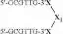 Fig. 117 - MODULATION OF IMMUNOSTIMULATORY PROPERTIES OF OLIGONUCLEOTIDE-BASED COMPOUNDS BY UTILIZING MODIFIED IMMUNOSTIMULATORY DINUCLEOTIDES