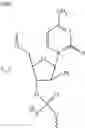 Fig. 41 - MODULATION OF IMMUNOSTIMULATORY PROPERTIES OF OLIGONUCLEOTIDE-BASED COMPOUNDS BY UTILIZING MODIFIED IMMUNOSTIMULATORY DINUCLEOTIDES