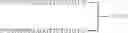 Fig. 44 - MODULATION OF IMMUNOSTIMULATORY PROPERTIES OF OLIGONUCLEOTIDE-BASED COMPOUNDS BY UTILIZING MODIFIED IMMUNOSTIMULATORY DINUCLEOTIDES