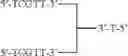 Fig. 55 - MODULATION OF IMMUNOSTIMULATORY PROPERTIES OF OLIGONUCLEOTIDE-BASED COMPOUNDS BY UTILIZING MODIFIED IMMUNOSTIMULATORY DINUCLEOTIDES