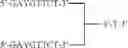 Fig. 79 - MODULATION OF IMMUNOSTIMULATORY PROPERTIES OF OLIGONUCLEOTIDE-BASED COMPOUNDS BY UTILIZING MODIFIED IMMUNOSTIMULATORY DINUCLEOTIDES