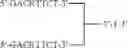 Fig. 80 - MODULATION OF IMMUNOSTIMULATORY PROPERTIES OF OLIGONUCLEOTIDE-BASED COMPOUNDS BY UTILIZING MODIFIED IMMUNOSTIMULATORY DINUCLEOTIDES