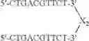 Fig. 84 - MODULATION OF IMMUNOSTIMULATORY PROPERTIES OF OLIGONUCLEOTIDE-BASED COMPOUNDS BY UTILIZING MODIFIED IMMUNOSTIMULATORY DINUCLEOTIDES