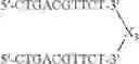 Fig. 85 - MODULATION OF IMMUNOSTIMULATORY PROPERTIES OF OLIGONUCLEOTIDE-BASED COMPOUNDS BY UTILIZING MODIFIED IMMUNOSTIMULATORY DINUCLEOTIDES