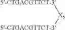 Fig. 87 - MODULATION OF IMMUNOSTIMULATORY PROPERTIES OF OLIGONUCLEOTIDE-BASED COMPOUNDS BY UTILIZING MODIFIED IMMUNOSTIMULATORY DINUCLEOTIDES