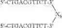 Fig. 88 - MODULATION OF IMMUNOSTIMULATORY PROPERTIES OF OLIGONUCLEOTIDE-BASED COMPOUNDS BY UTILIZING MODIFIED IMMUNOSTIMULATORY DINUCLEOTIDES