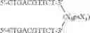 Fig. 89 - MODULATION OF IMMUNOSTIMULATORY PROPERTIES OF OLIGONUCLEOTIDE-BASED COMPOUNDS BY UTILIZING MODIFIED IMMUNOSTIMULATORY DINUCLEOTIDES