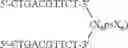 Fig. 91 - MODULATION OF IMMUNOSTIMULATORY PROPERTIES OF OLIGONUCLEOTIDE-BASED COMPOUNDS BY UTILIZING MODIFIED IMMUNOSTIMULATORY DINUCLEOTIDES