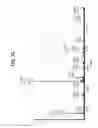 Fig. 10 - Multifunctional antibody conjugates