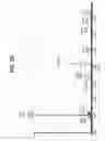 Fig. 11 - Multifunctional antibody conjugates