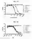 Fig. 27 - Multifunctional antibody conjugates
