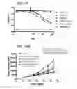 Fig. 28 - Multifunctional antibody conjugates
