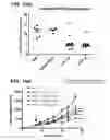 Fig. 29 - Multifunctional antibody conjugates