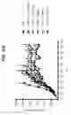 Fig. 32 - Multifunctional antibody conjugates
