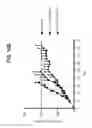 Fig. 33 - Multifunctional antibody conjugates