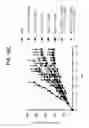 Fig. 34 - Multifunctional antibody conjugates