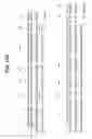 Fig. 36 - Multifunctional antibody conjugates