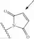 Fig. 57 - Multifunctional antibody conjugates