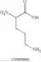 Fig. 64 - Multifunctional antibody conjugates