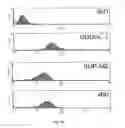 Fig. 04 - Compositions and Methods for Inhibiting an Oncogenic Protein to Enhance Immunogenicity