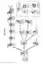 Fig. 02 - Anti-CD38 antibodies
