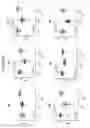 Fig. 09 - Anti-CD38 antibodies