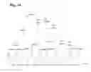Fig. 20 - Antibodies that specifically bind to the EphA2 receptor
