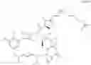 Fig. 56 - Antibodies that specifically bind to the EphA2 receptor