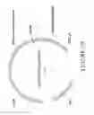 Fig. 03 - ANTIBODIES SPECIFIC FOR DKK-1