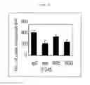 Fig. 07 - Method for screening anticancer agent or SIP1/ZEB2 inhibitor using integrin alpha 5