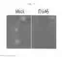 Fig. 09 - Method for screening anticancer agent or SIP1/ZEB2 inhibitor using integrin alpha 5