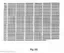 Fig. 04 - EphA2 T cell epitopes and uses therefor