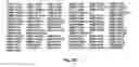 Fig. 06 - EphA2 T cell epitopes and uses therefor