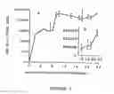 Fig. 02 - Transcutaneous immunization without heterologous adjuvant