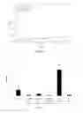 Fig. 02 - POLYMER PARTICLES AND USES THEREOF
