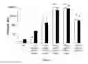 Fig. 04 - POLYMER PARTICLES AND USES THEREOF