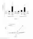 Fig. 06 - POLYMER PARTICLES AND USES THEREOF